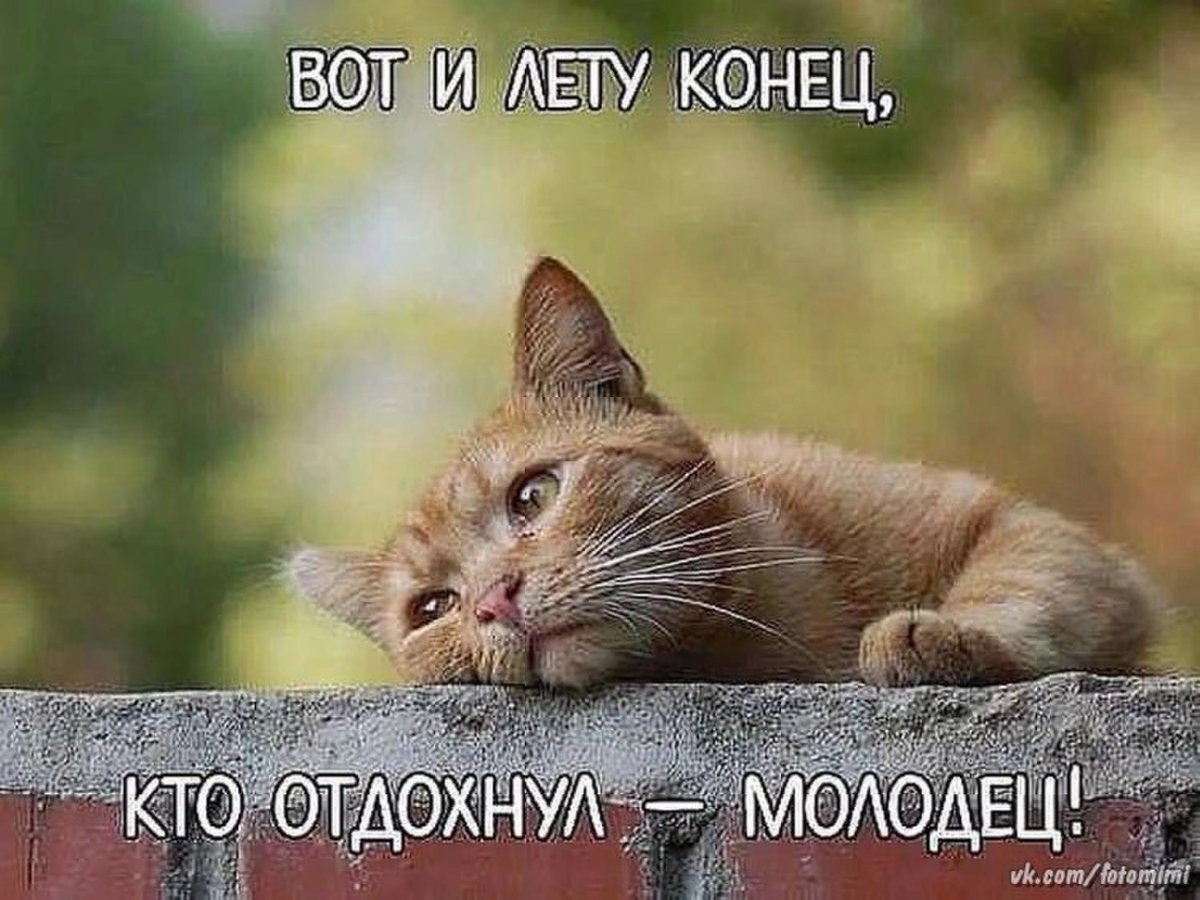 Хочется солнышка и тепла