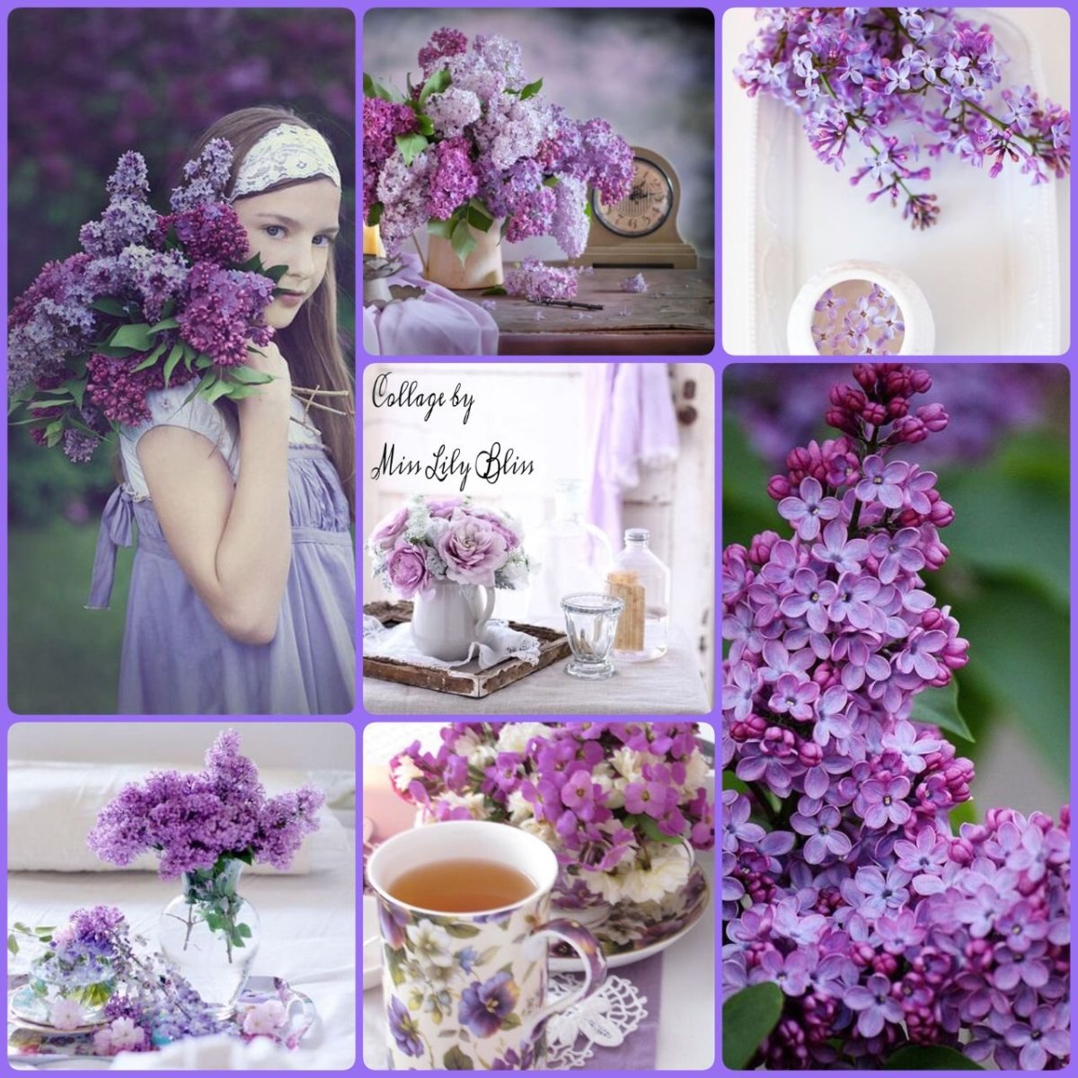 Утро в сиреневых тонах