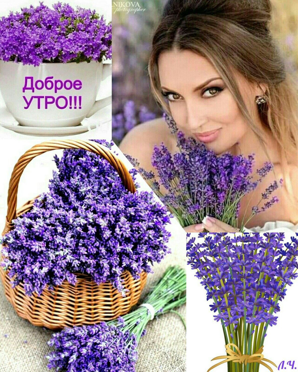 Букет сирени гиф