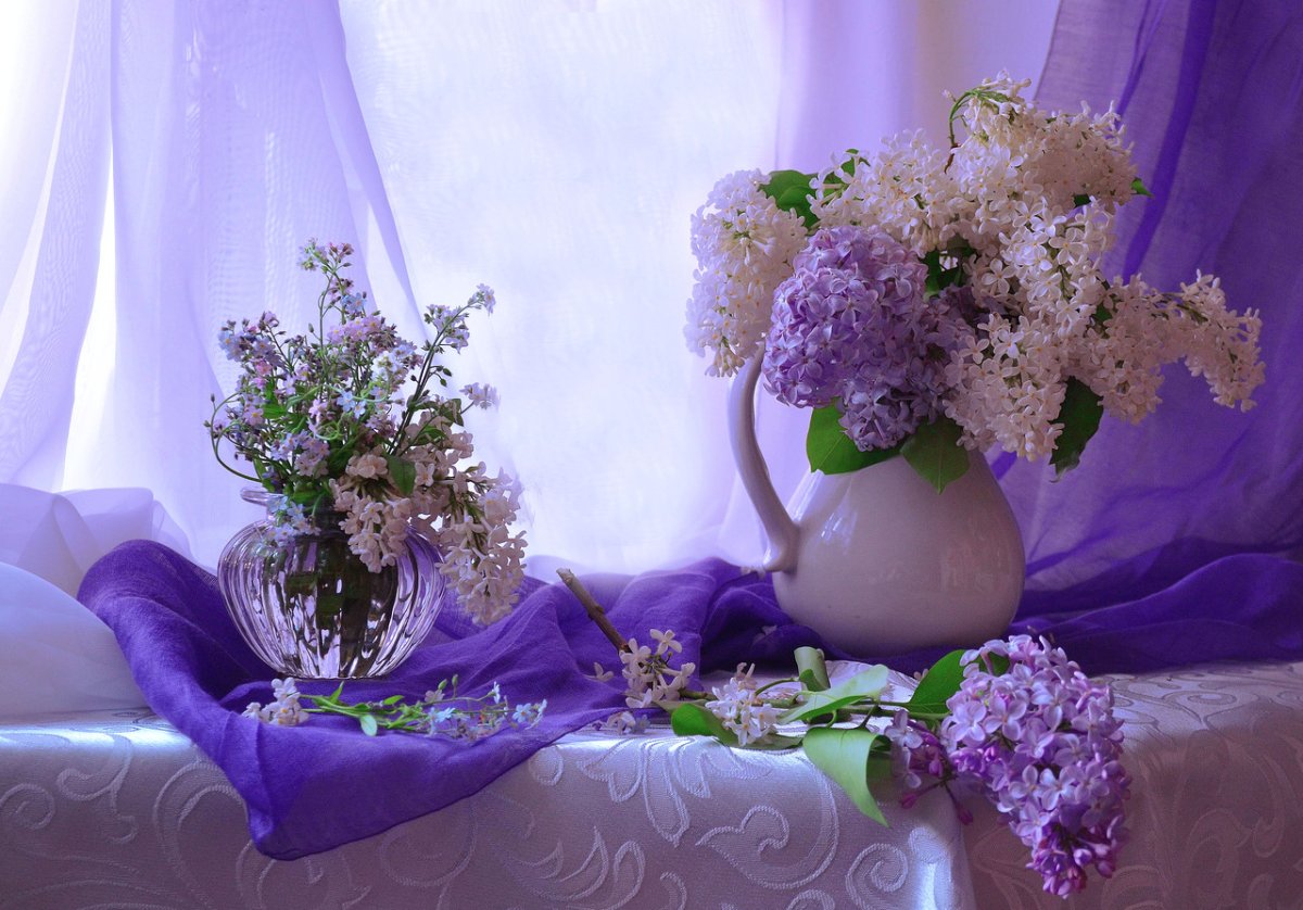 Лаванда Lavender aesthetic