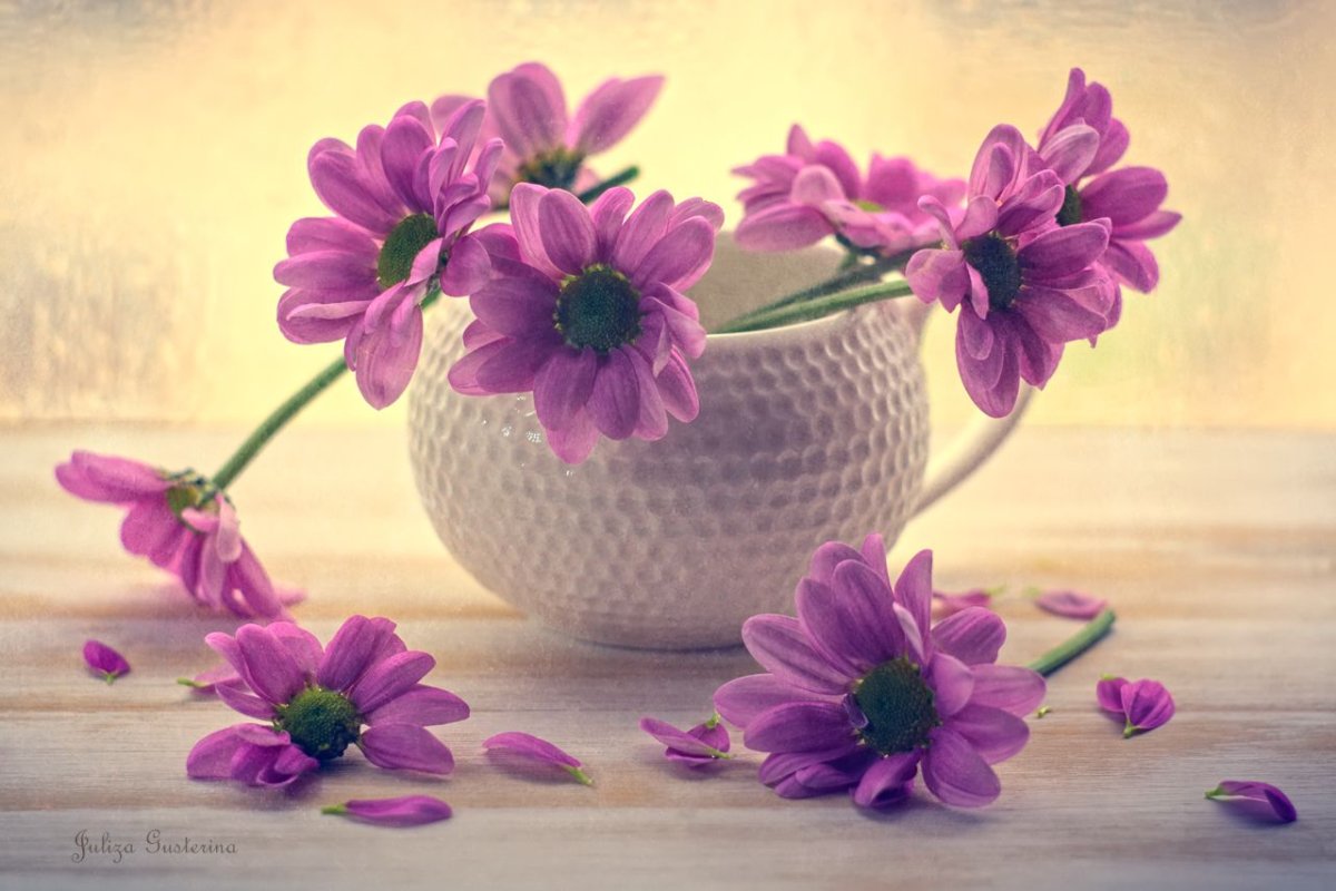 Доброе утро в сиреневых тонах