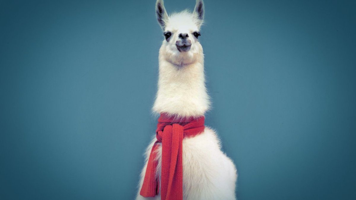 Попробуй лама