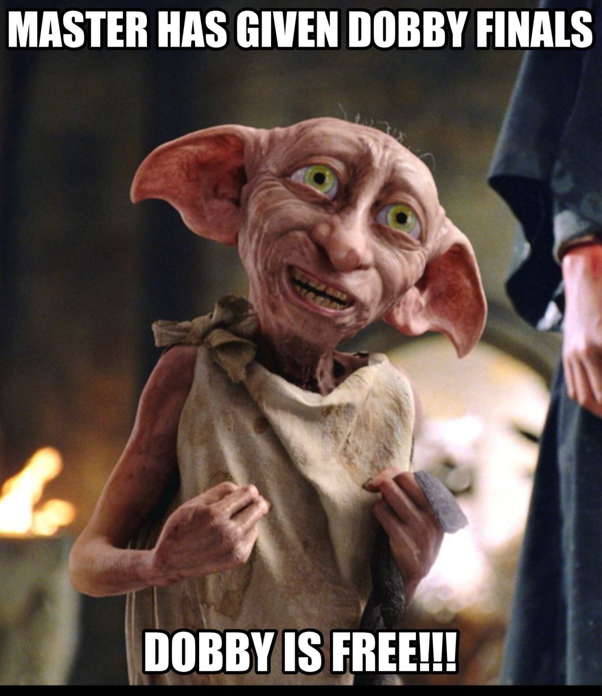 Добби Свободный Эльф