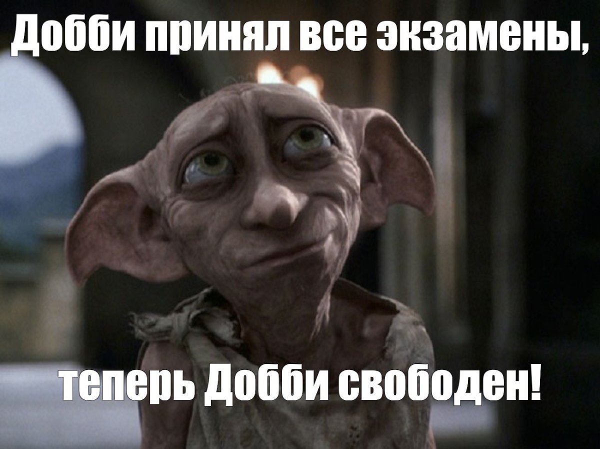 Гарри Поттер подарил Добби носок