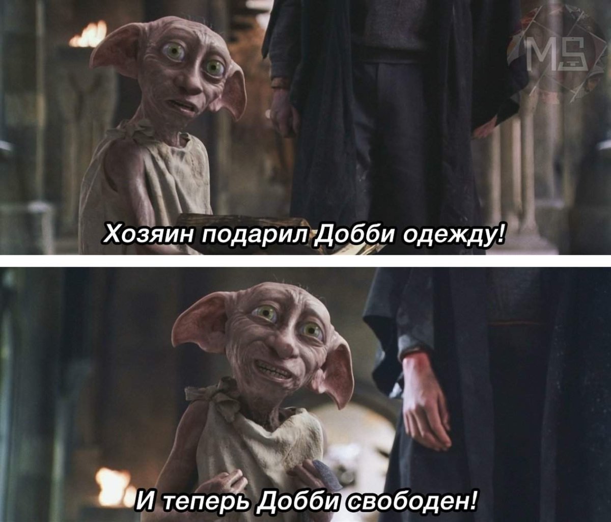 Гарри Поттер Добби свободен