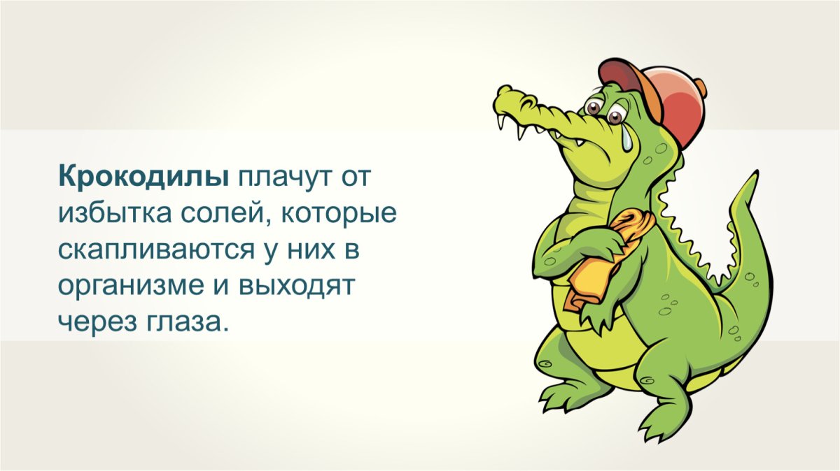 Крокодильчик плачет