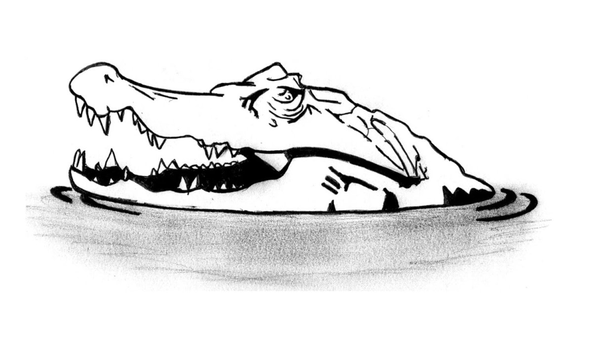 Крокодил рисунок карандашом