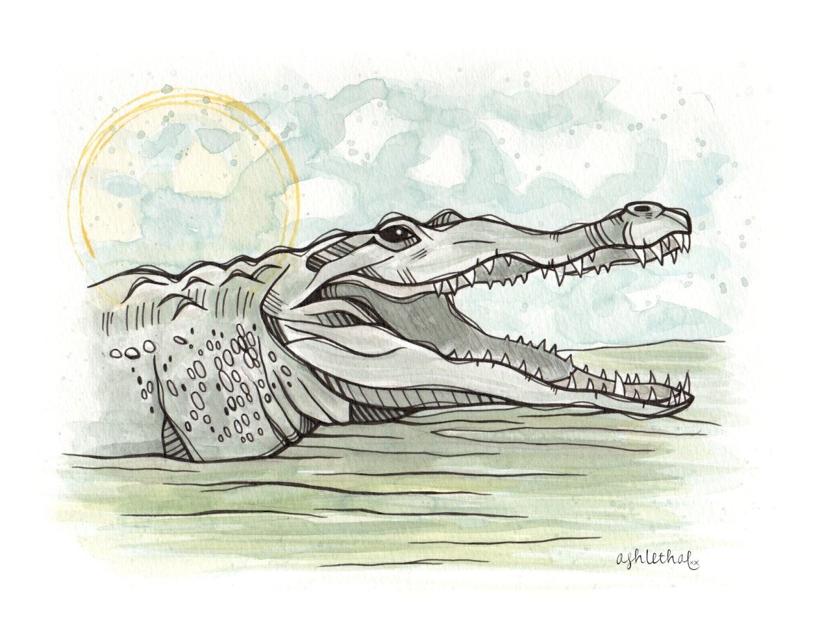 Крокодил рисунок ручкой