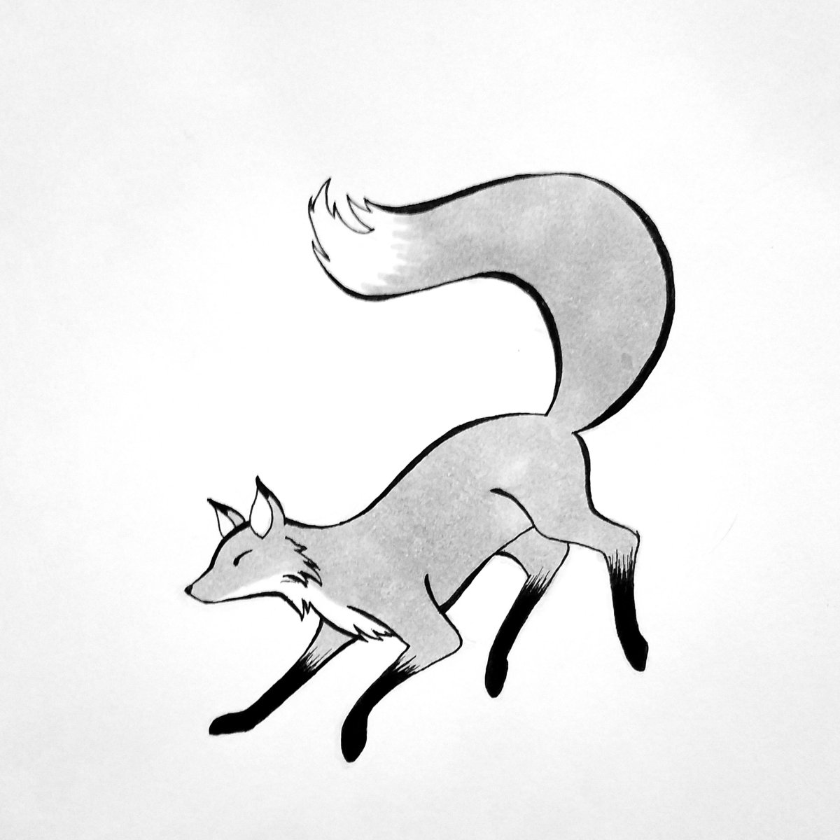 Лиса черно белая