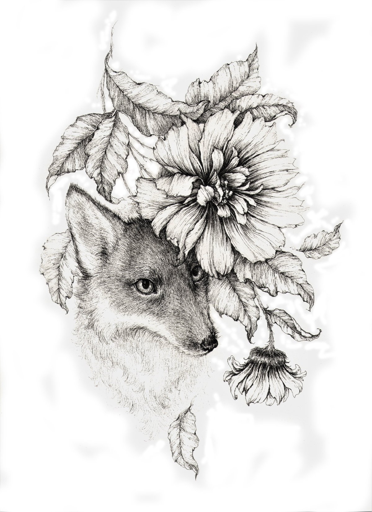 Черно белая Графика лиса