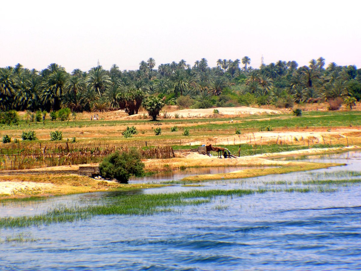 Река Нил закат