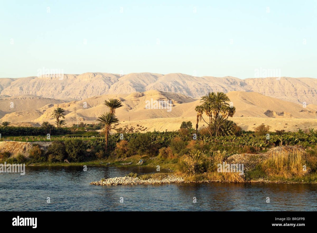 Нил Ривер бельгийский