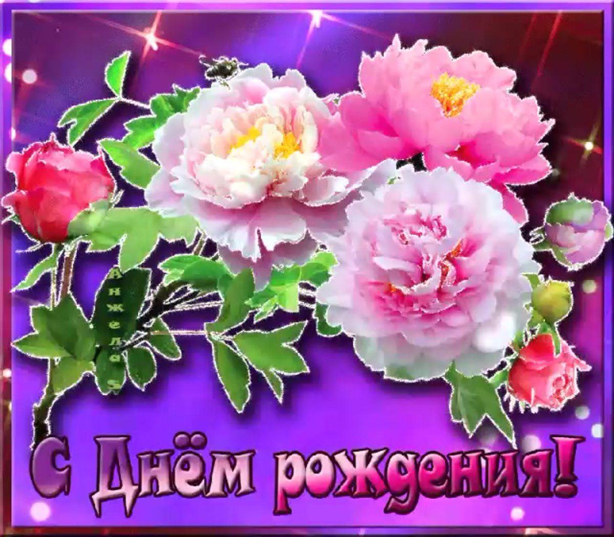 С днём рождения женщине прикольные