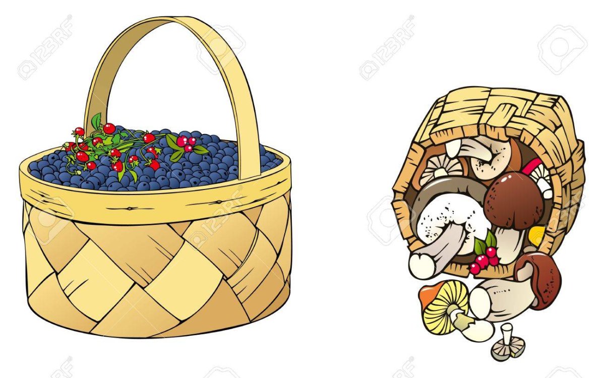 Корзинка на прозрачном фоне