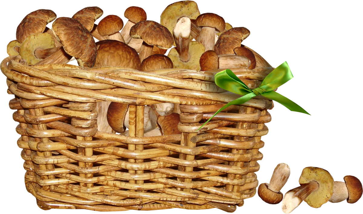 Рыба жёлтый кузовок кубик