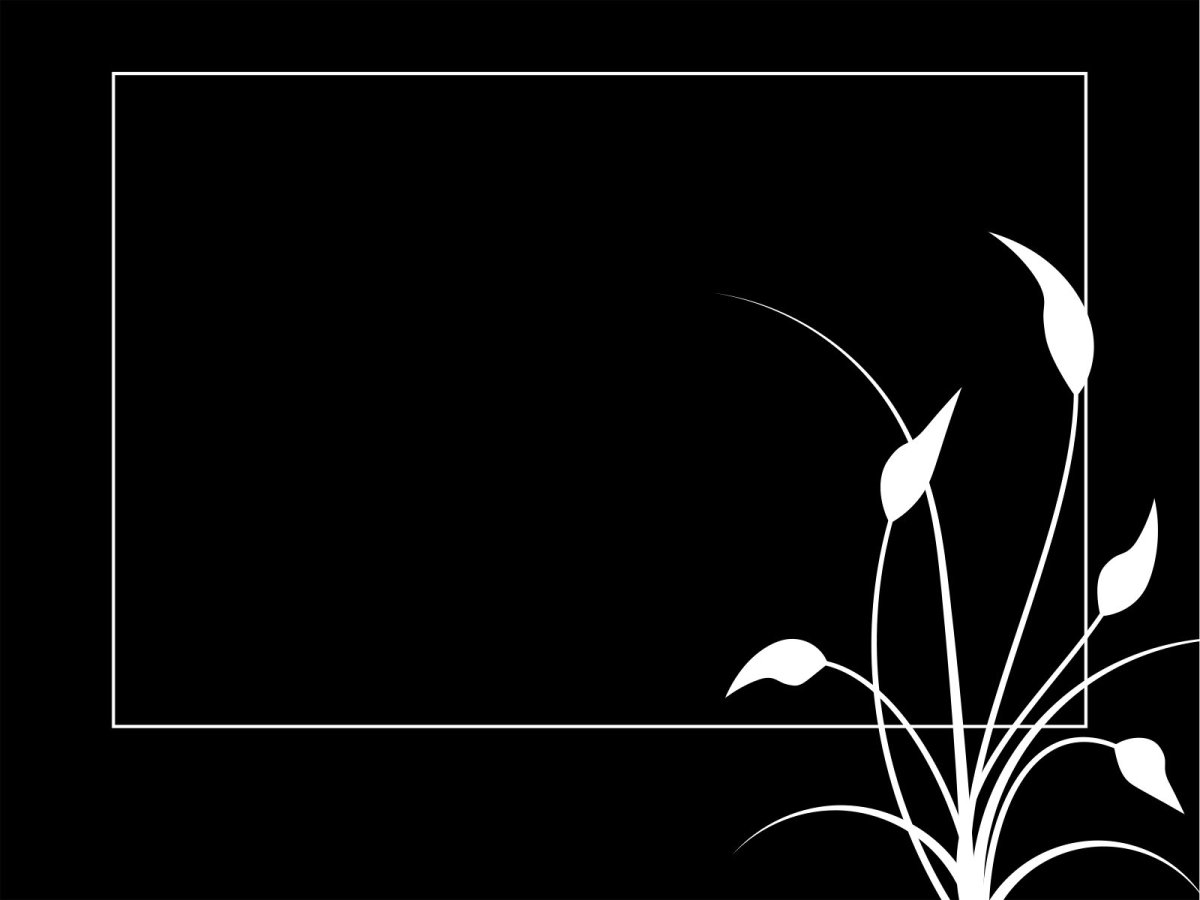 Красивый фон для текста