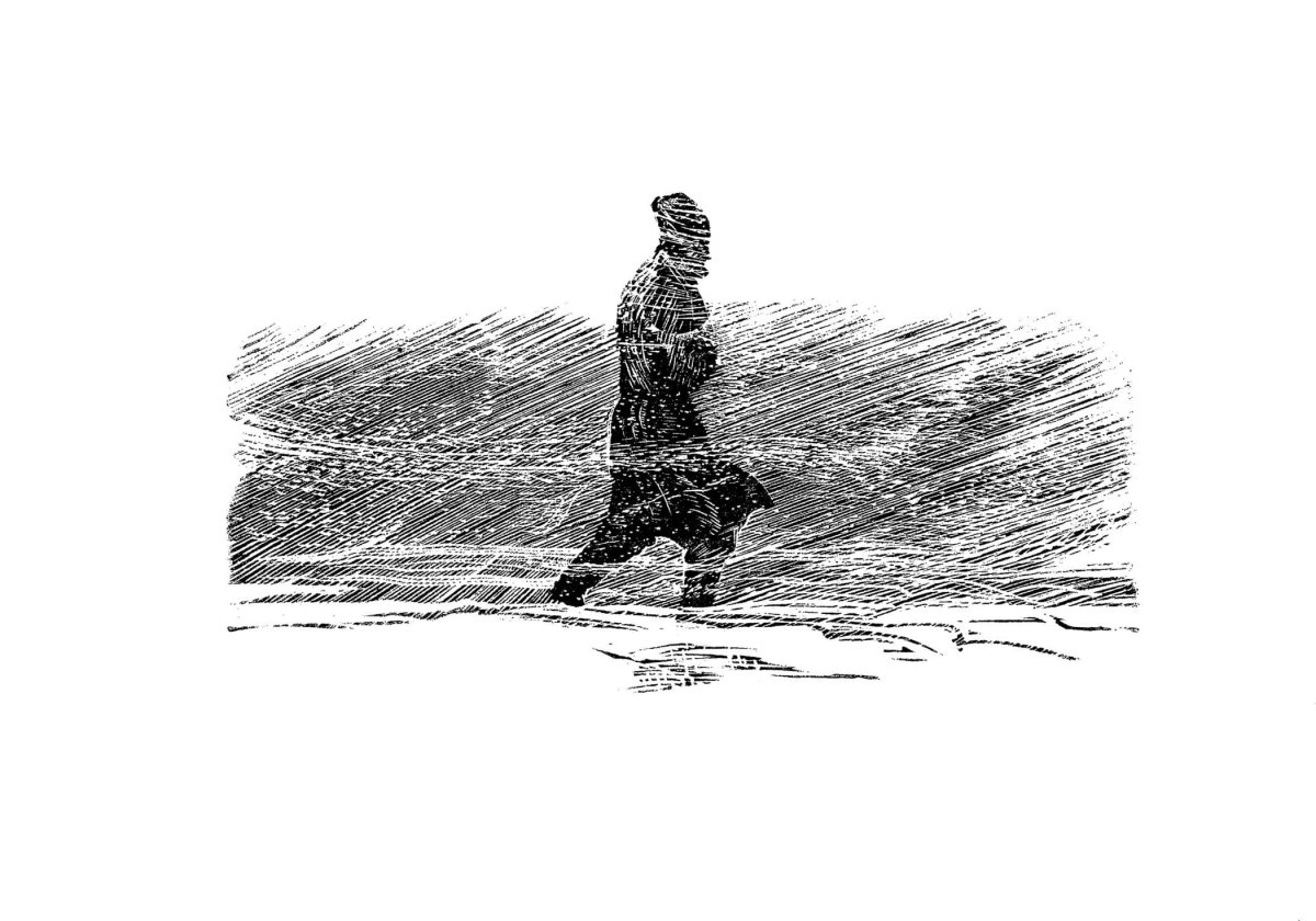 Капитанская дочка награды на пути чести