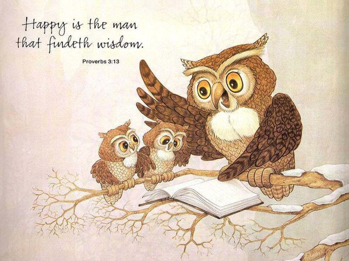 Сова учитель