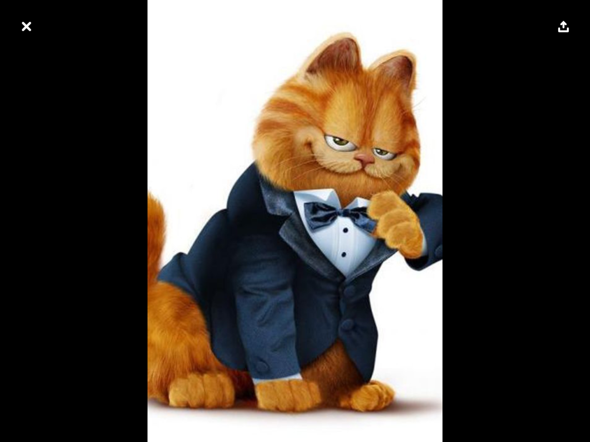 Алекс Гарфилд