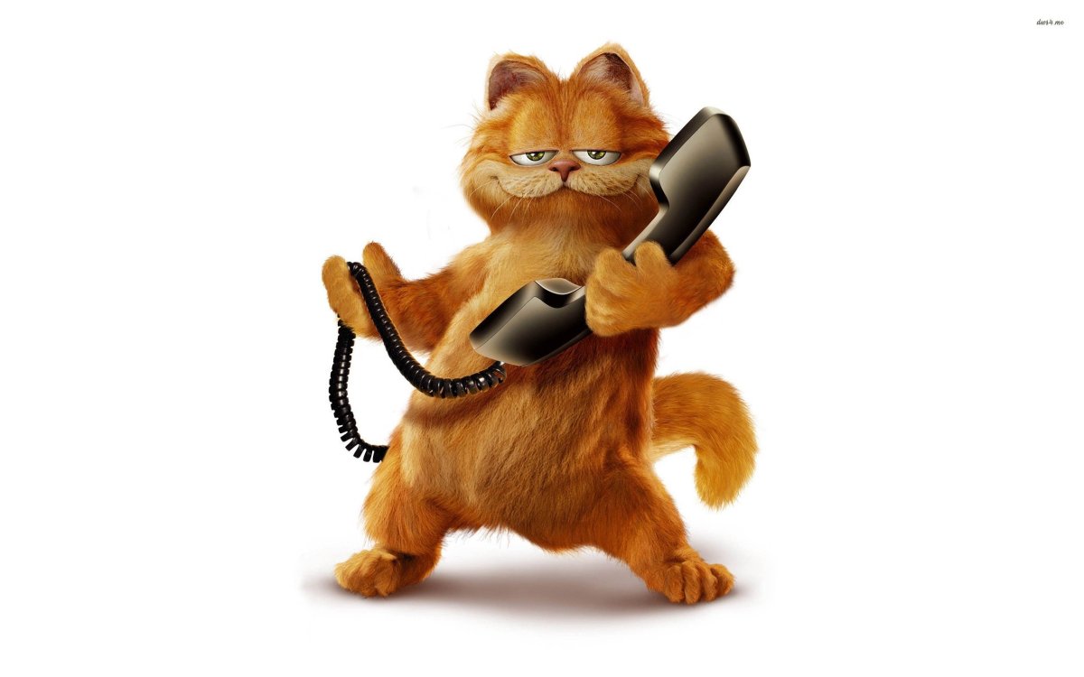 Кот Гарфилд мультфильм