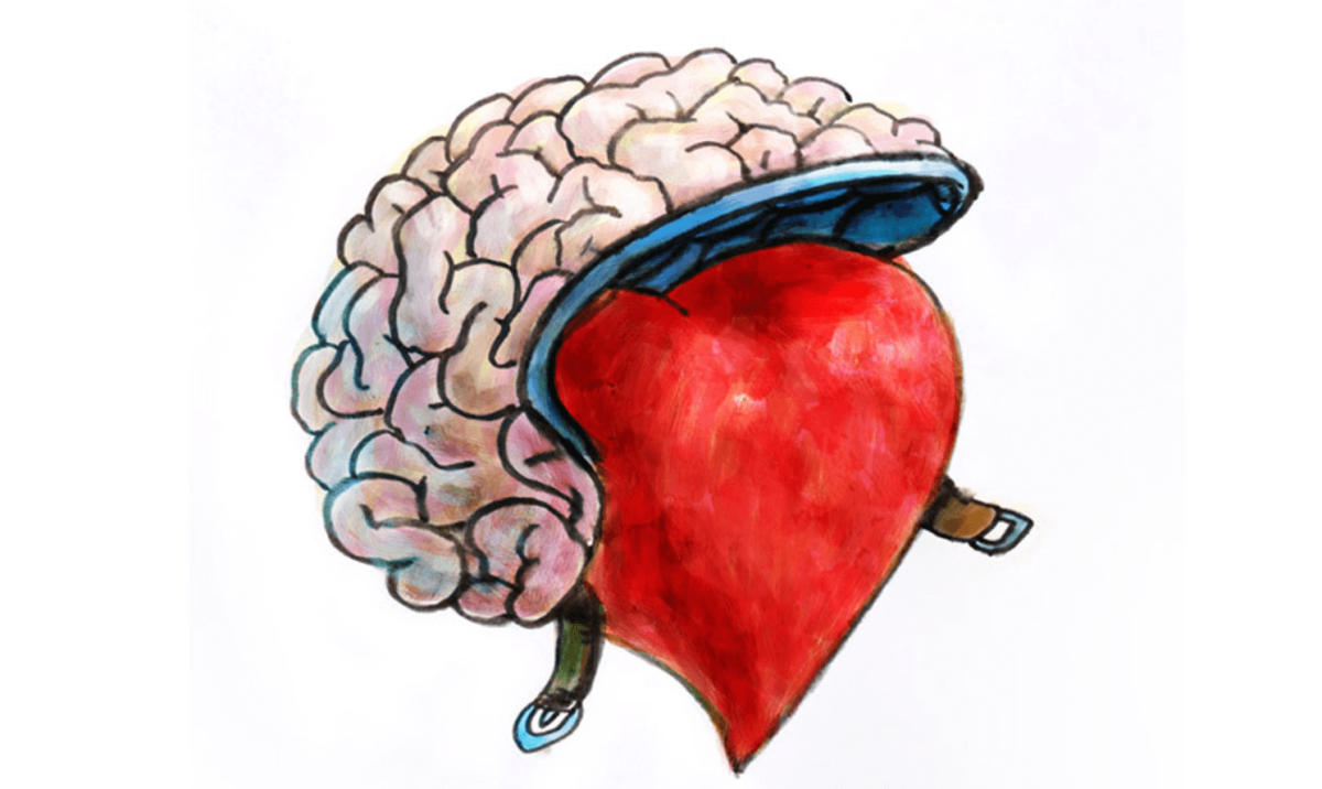 Мозг и сердце