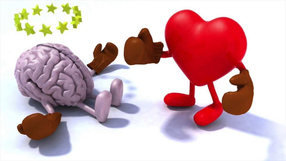 Конфликт мозга и сердца