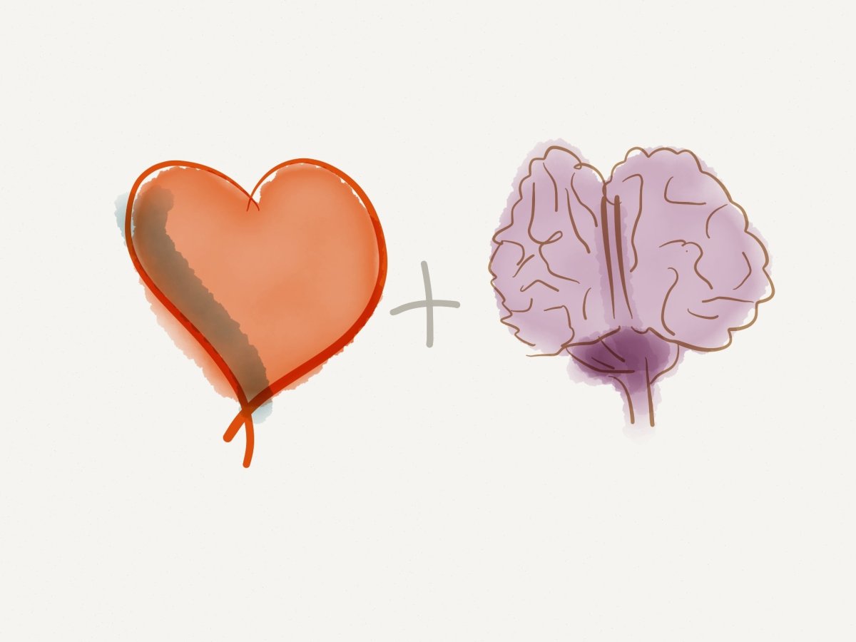 Мозг против сердца