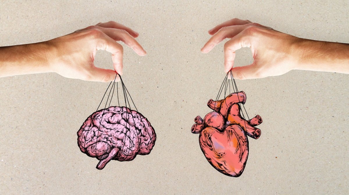 Мозг и сердце