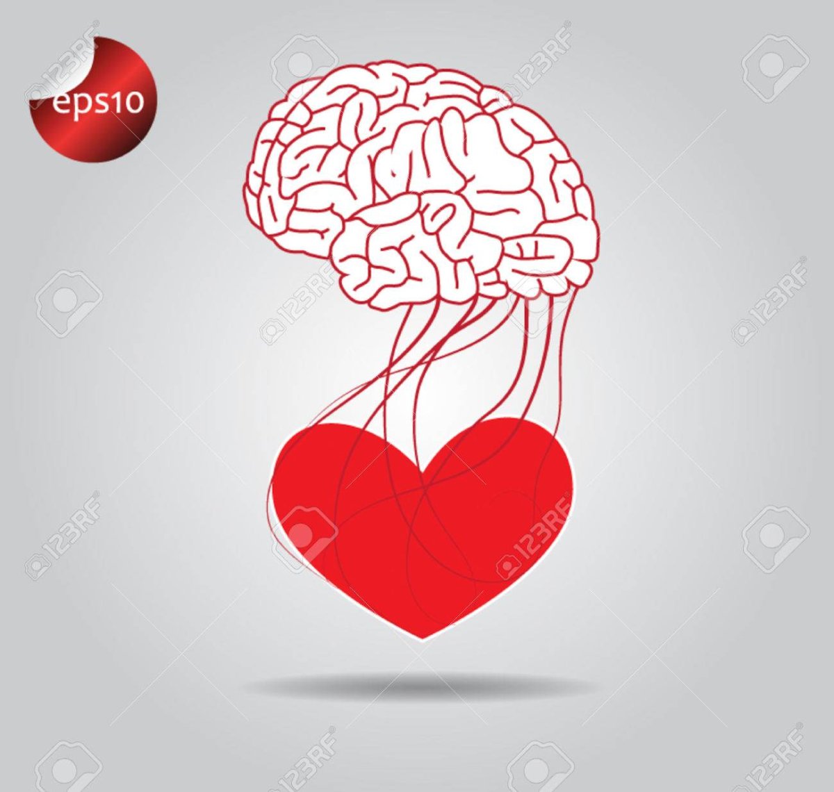 Фото весы мозг и сердце