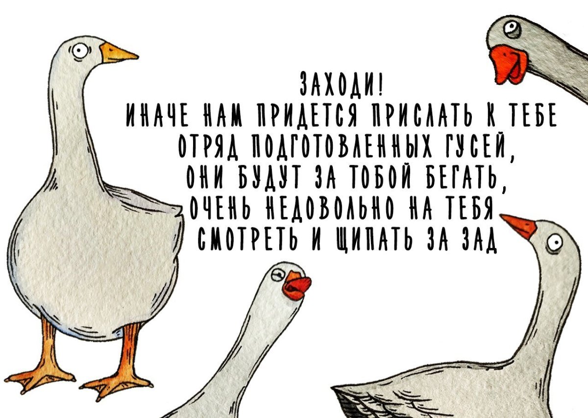 Гордый Гусь