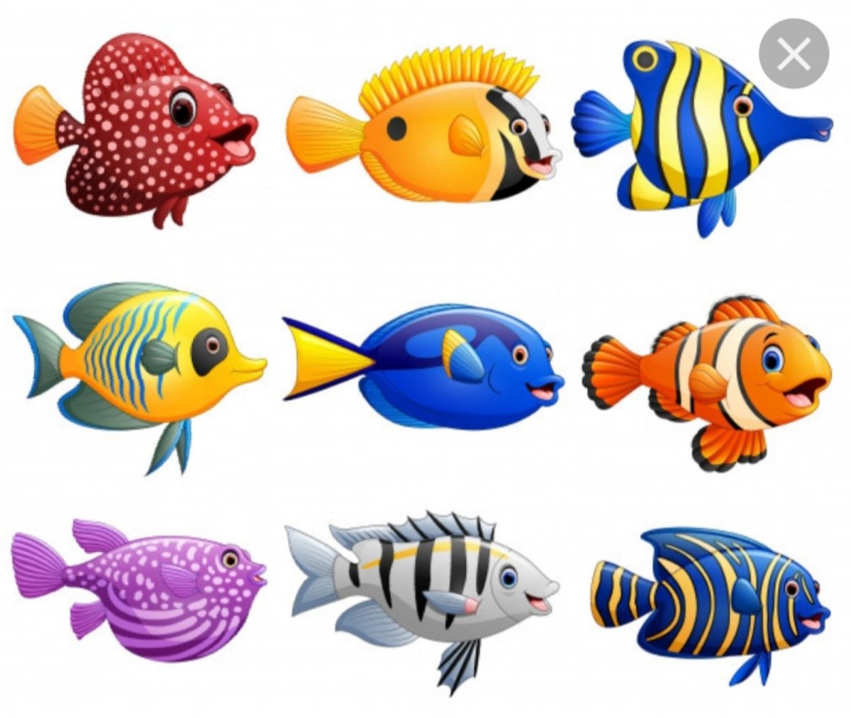 Морские рыбы вектор