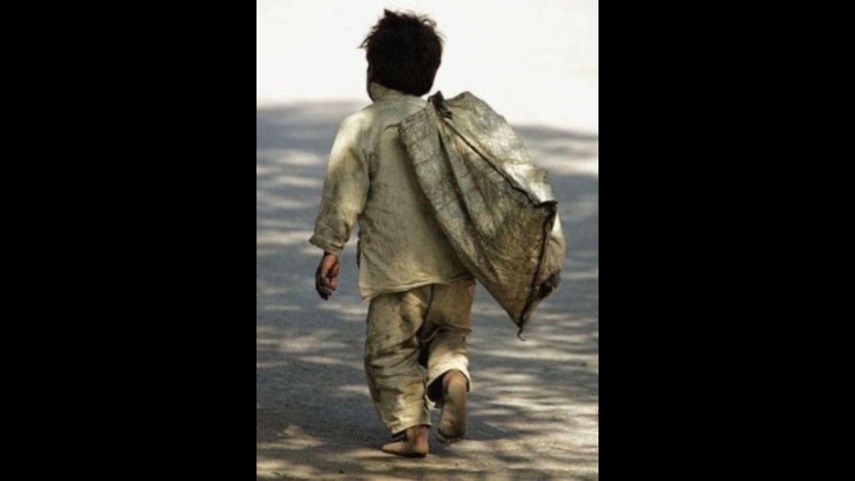 Высказывания о правде