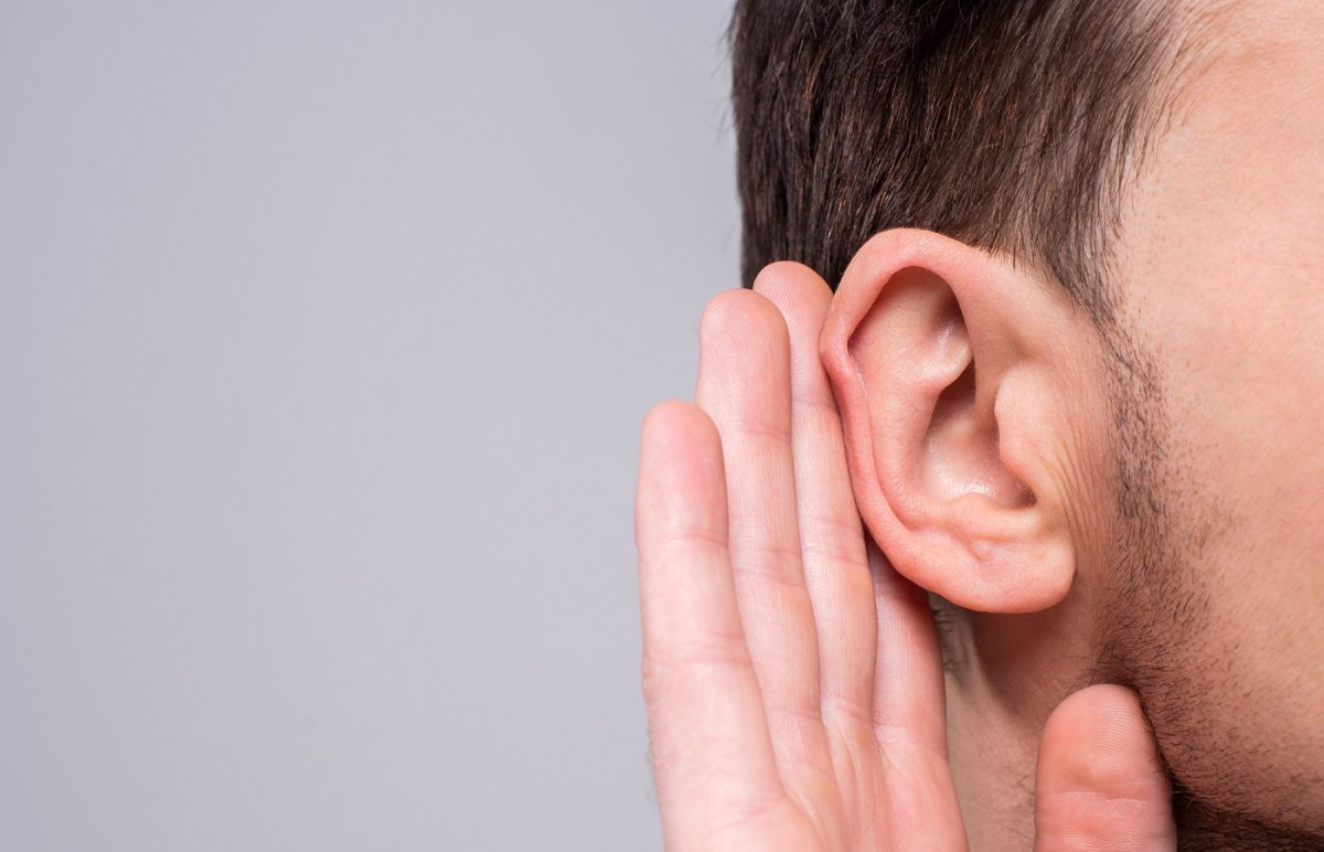 Ухо и звуковые волны