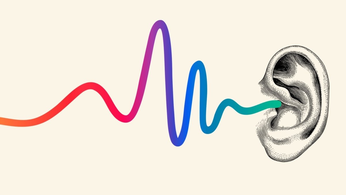 Слух анимация