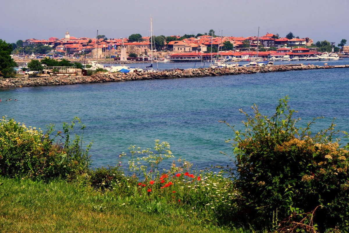 Ичюстония Болгарии