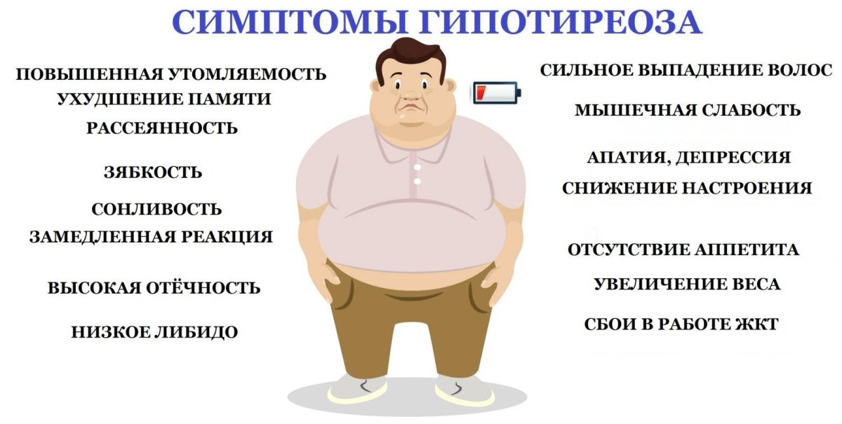 Щитовидная железа иллюстрация