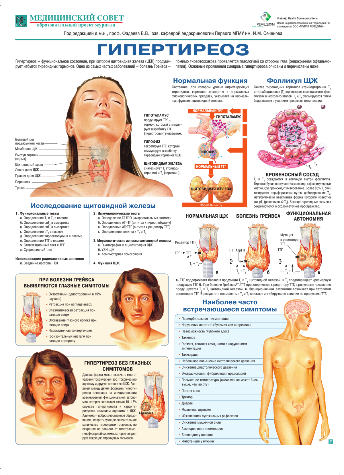 Гипотиреоз Векторная картинка