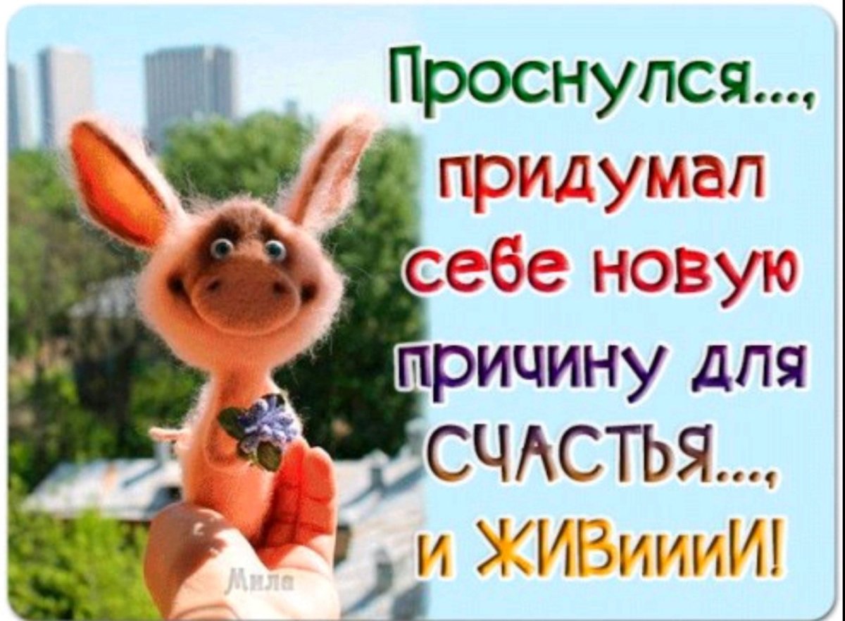 Веселые гифки с добрым утром