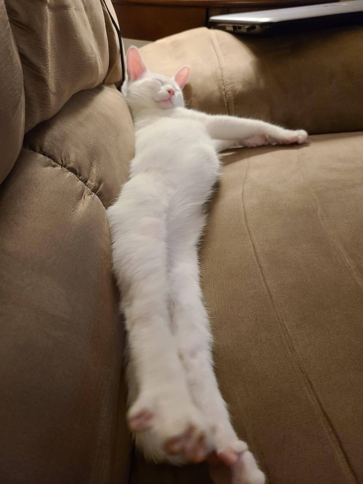 Утро в постели