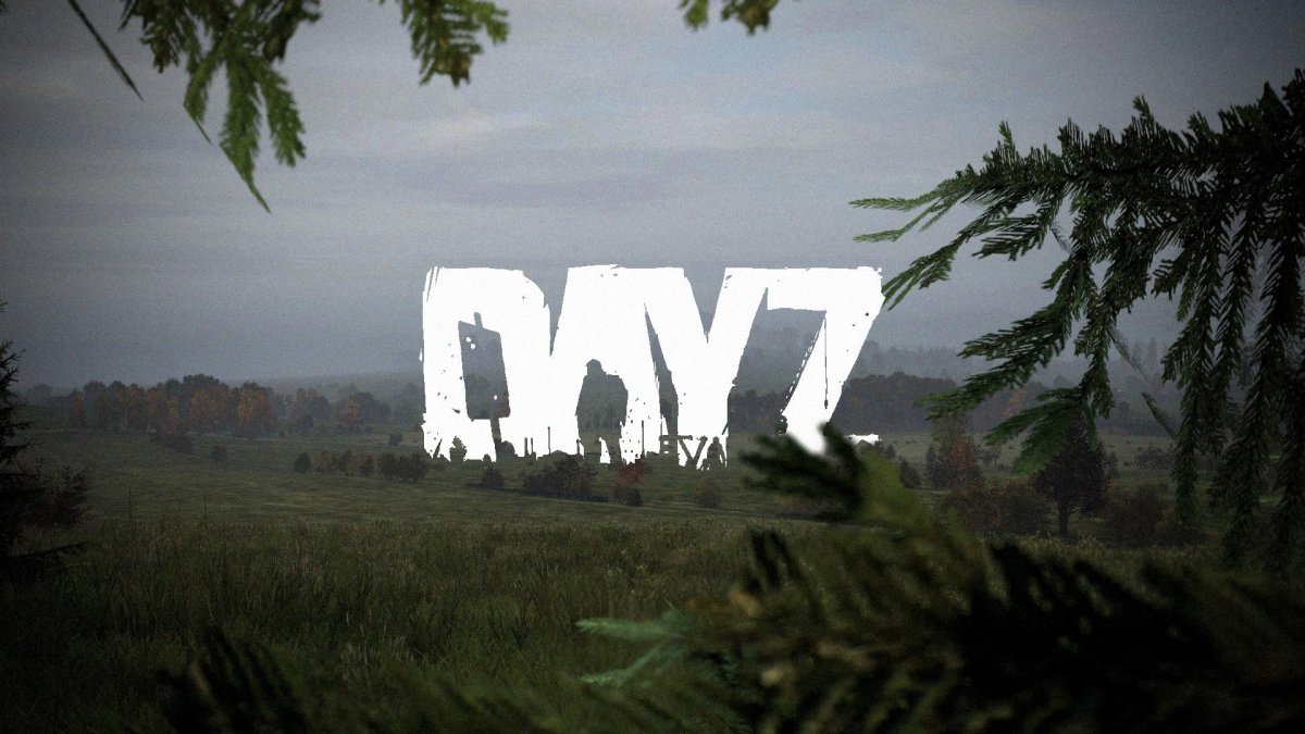 DAYZ на слабом ПК