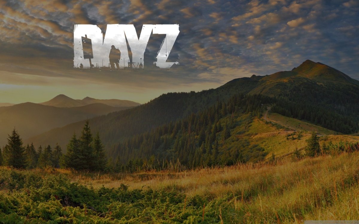 DAYZ картина