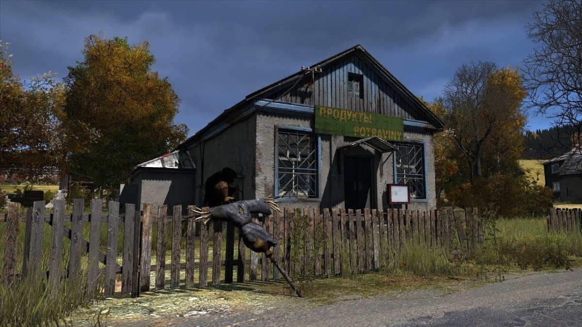 DAYZ деревня