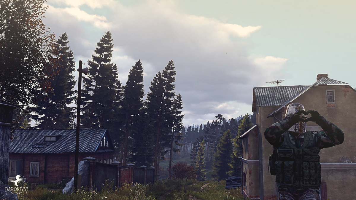 DAYZ Standalone арт