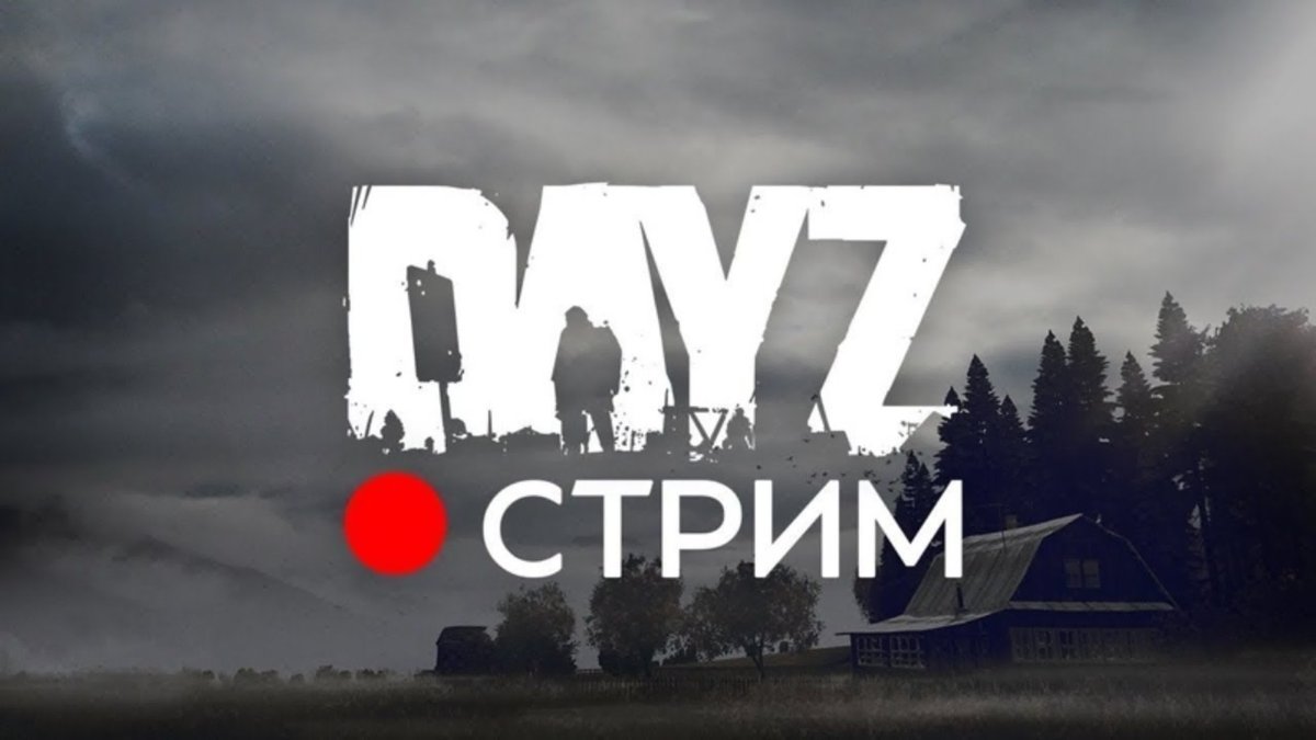 Day z стрим