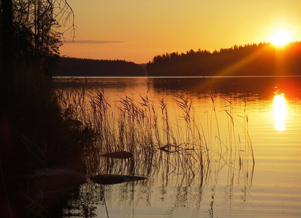 Летний закат на озере
