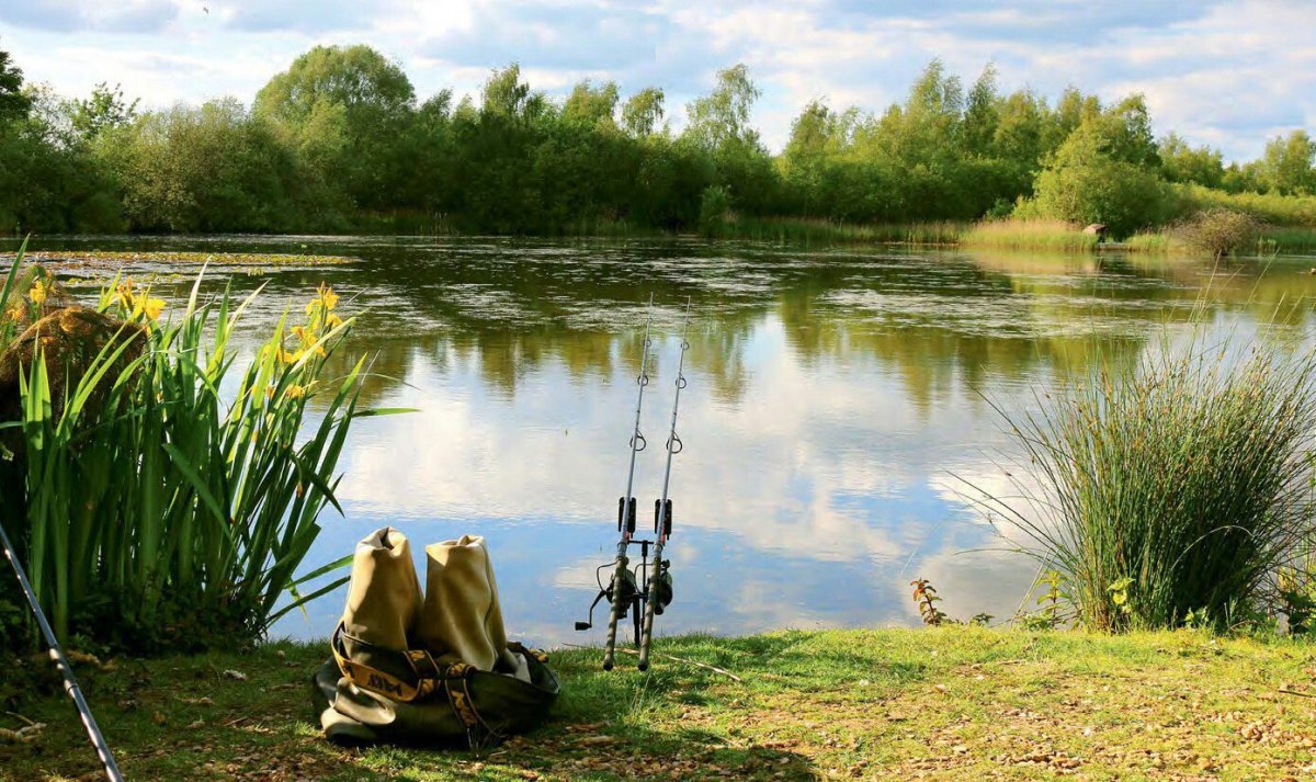 Лето рыбалка