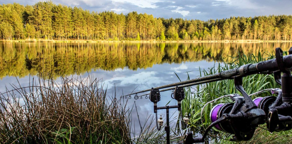 Озеро карпятник