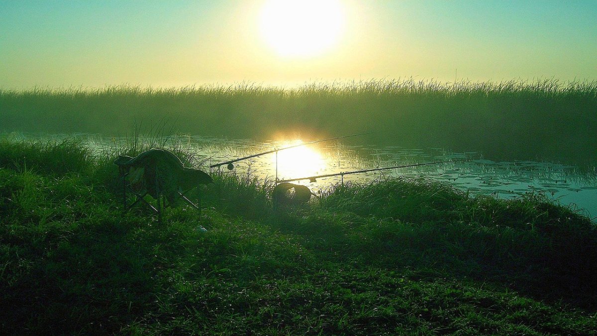 Красивые места для рыбалки