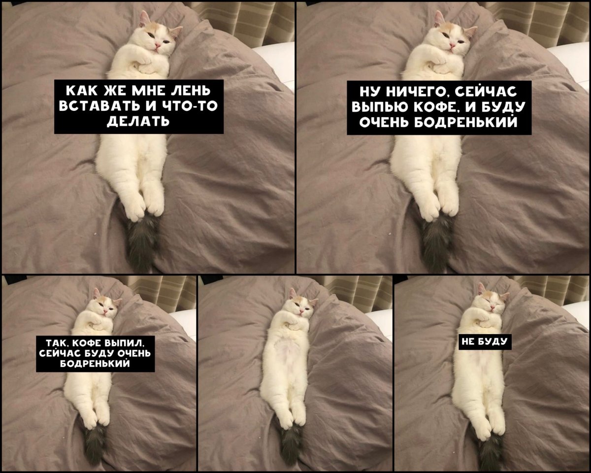 Суббота утро прикол