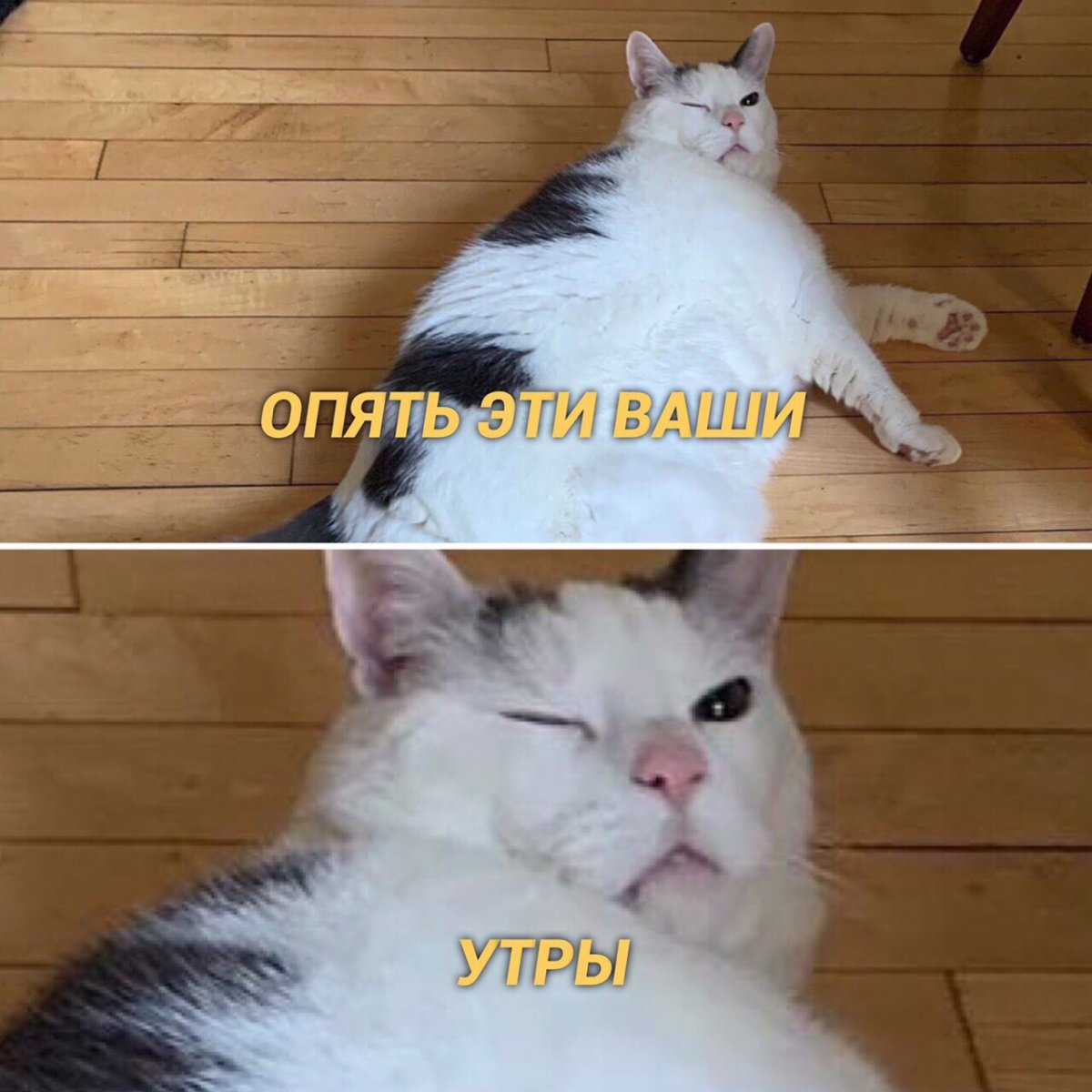 Я каждое утро перед работой